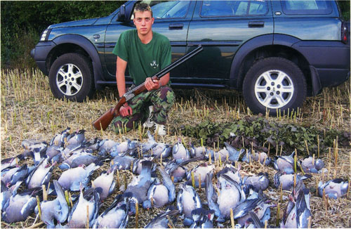 Pigeon shooting